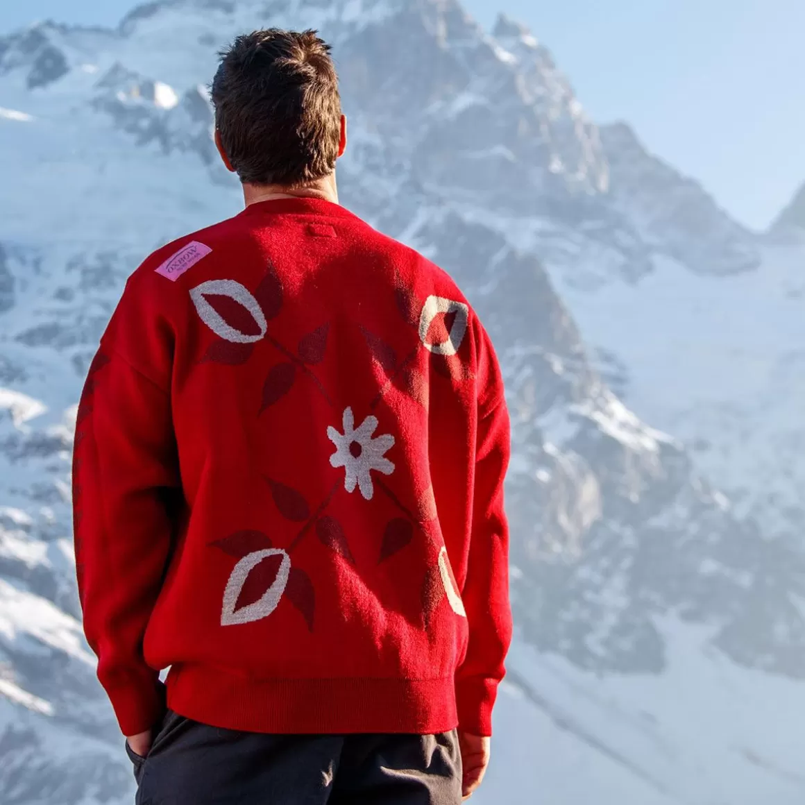 Pull COLLECTOR ALEXANDRE - -OXBOW Online